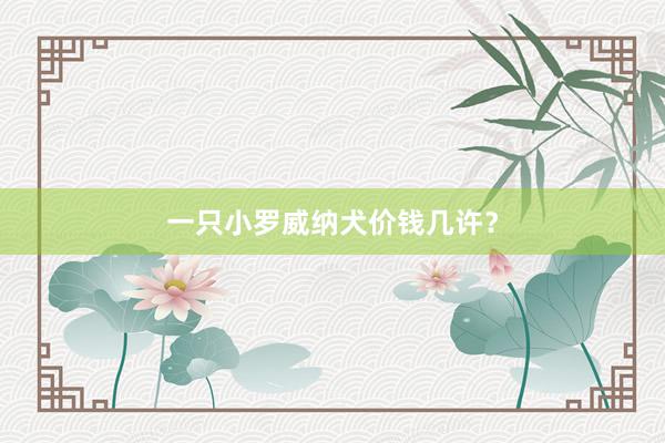 一只小罗威纳犬价钱几许？